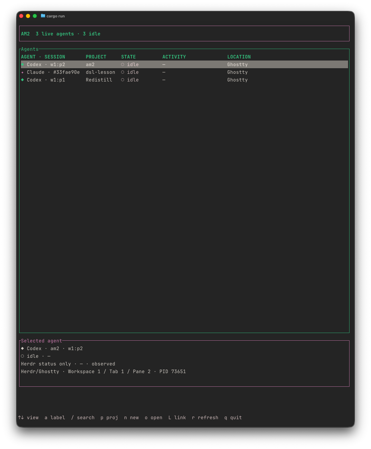 AM2 dashboard showing local coding agents